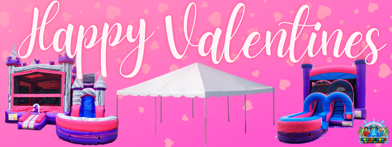 Bounce Houses With Slide Bounce Bros Entertainment LLC Fort Myers FL