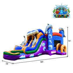 Diving Dolphins Wet/Dry Double Lane Combo