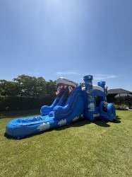 IMG 1653 1754248449 1 Shark Attack Double Lane Wet/Dry Combo