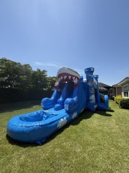 IMG 1654 1754248450 1 Shark Attack Double Lane Wet/Dry Combo