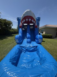 IMG 1656 1754248450 1 Shark Attack Double Lane Wet/Dry Combo