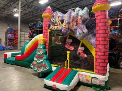 IMG 2895 1732325641 Christmas Combo Wet/Dry