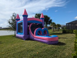 PXL 20240126 171204395 1706335029 Princess Wet/Dry Combo