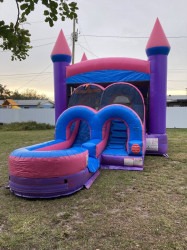 pinky20 1718914107 Princess Wet/Dry Combo